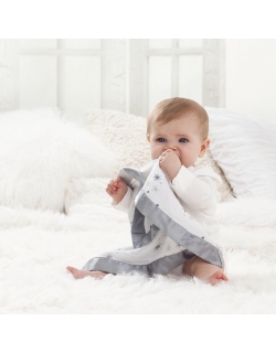 Муслиновые пеленки для новорожденных Aden&Anais маленькие, Twinkle