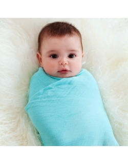 Бамбуковые пеленки для новорожденных Aden&Anais большие, набор 3, Azure