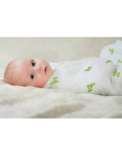 Aden&Anais набор 4 больших муслиновых пеленок, Mod about Baby (ребенок)