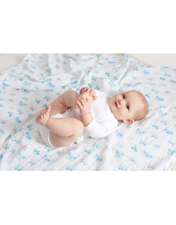 Муслиновые пеленки Aden&Anais для новорожденных большие, набор 2, Mariposa