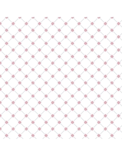 Пеленки муслиновые для новорожденных Bébé au Lait большие набор 2, Dewberry/Lattice