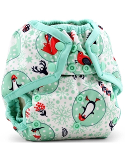 Многоразовый подгузник Kanga Care Rumparooz Onesize, Chill (2 вкладыша)