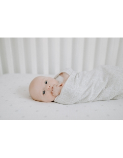 Пеленки муслиновые для новорожденных Aden&Anais большие, набор 2, Paisley