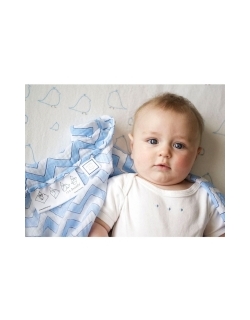 Набор пеленок SwaddleDesigns Swaddle Duo Yellow Chevrons