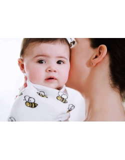 Aden&Anais набор 4 больших муслиновых пеленок, Mod about Baby (ребенок)
