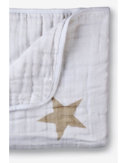 Aden&Anais одеяло муслиновое, Super Star (суперзвезда)