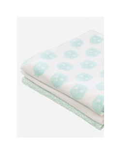 Комплект фланелевых пеленок для новорожденных Jollein, Owl mint